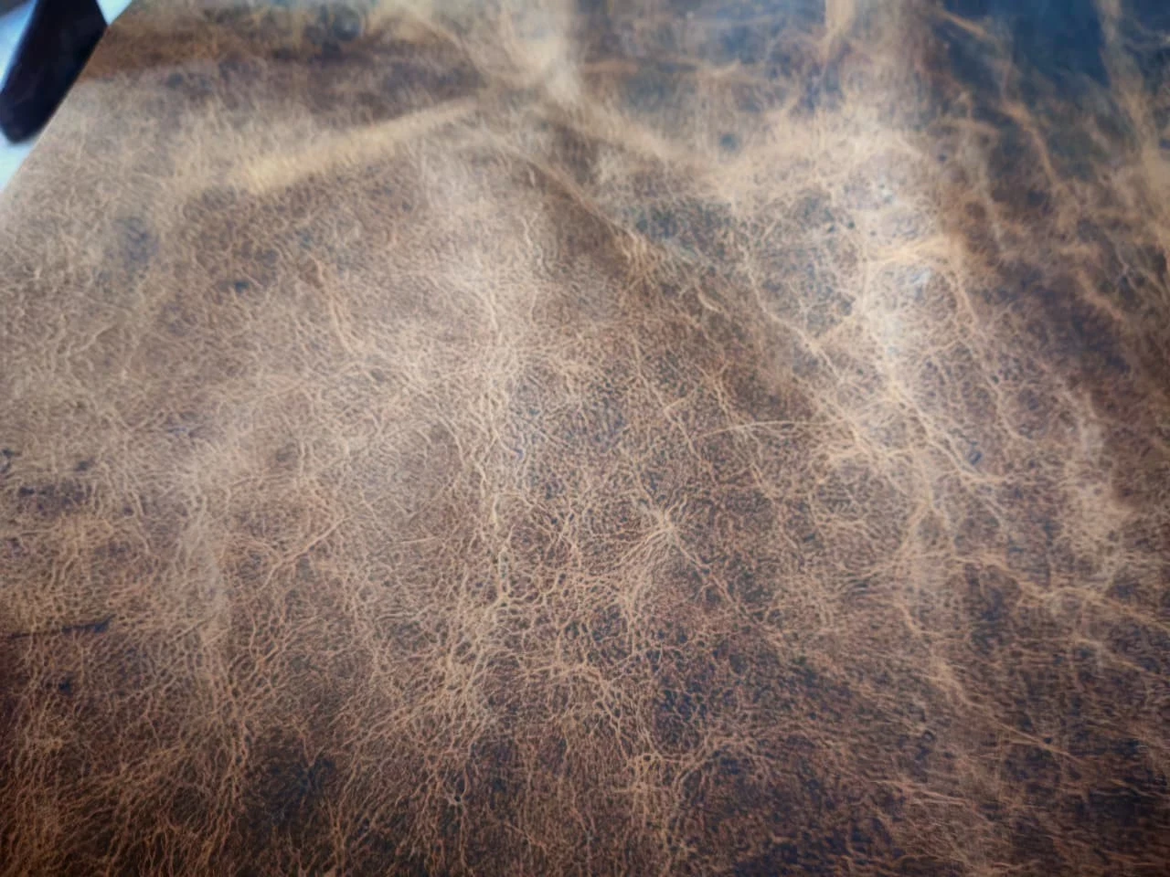 Leather Skin Raw Hide